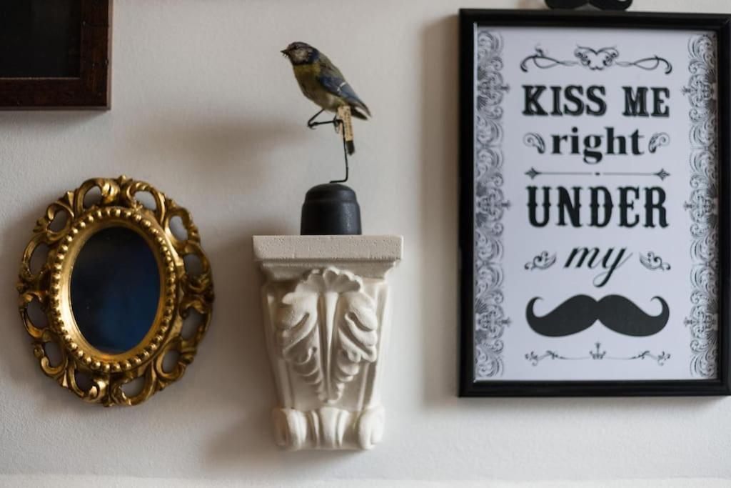 - Cozy Loft Apartamento